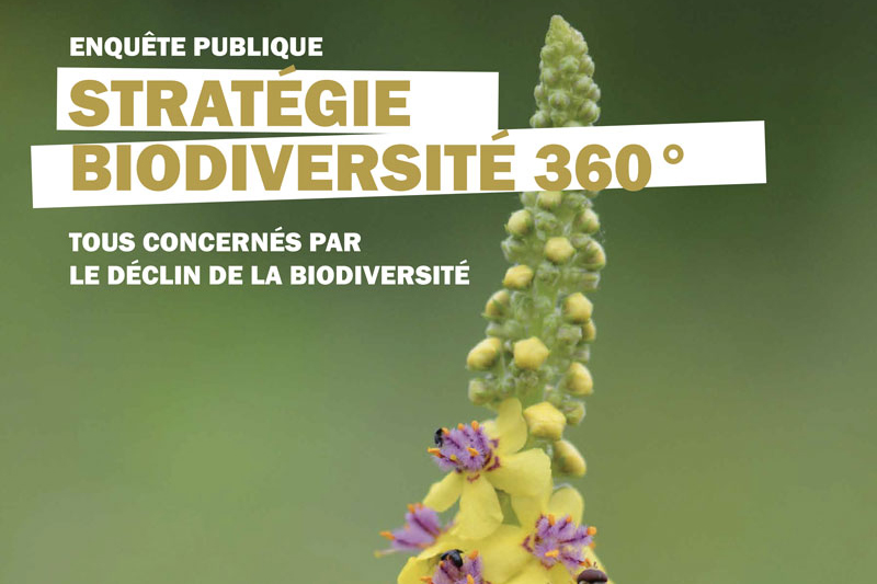 enquete publique strategie biodiversite FR